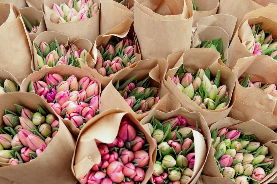 ����� 67 ��� ������ ��������� � ����������� �� ���