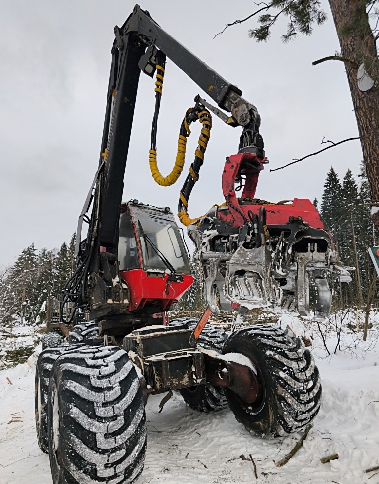 В лесах Городского округа Коломна в 2026 году сплошные санитарные рубки запланированы более чем на 12 гектарах В лесах Городского округа Коломна в 2026 году сплошные санитарные рубки запланированы более чем на 12 гектарах