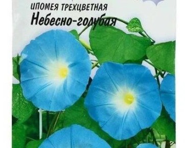 ������ ��� ��������: ����� ������� ��� ����������