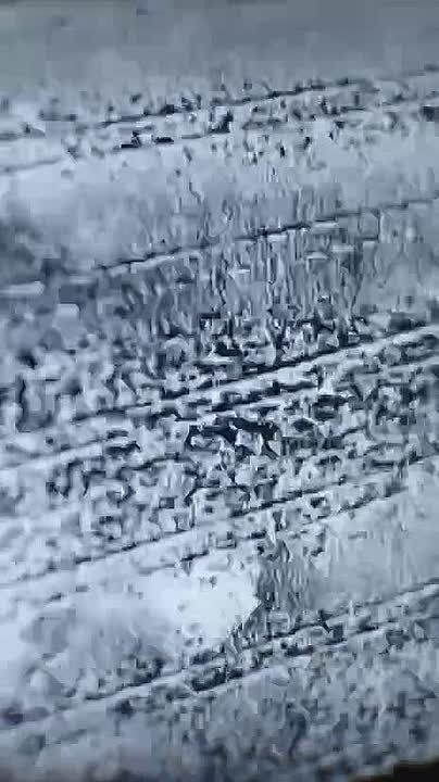 ������ ����� ���������� ���� � ������������� ����������� ������ (�. ��������)