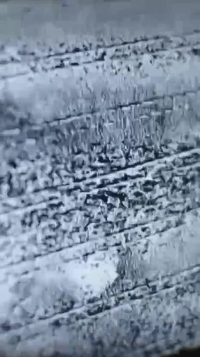 ������ ����� ���������� ���� � ������������� ����������� ������ (�. ��������)