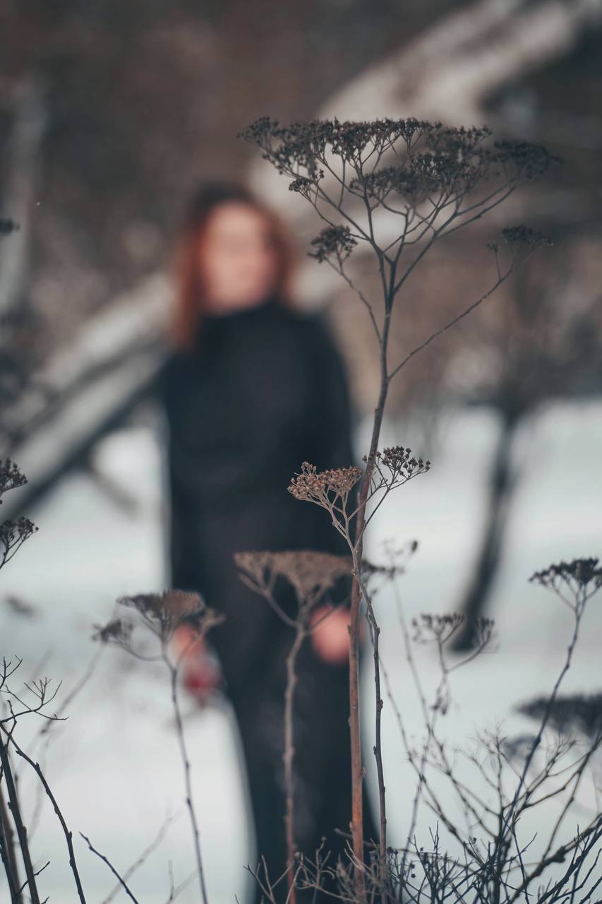 Анна Долгарева: Рябина всегда вызывала у меня смутную тревогу, особенно поздней осенью, когда вокруг все черно-серое, и тем более зимой - среди белизны Анна Долгарева: Рябина всегда вызывала у меня смутную тревогу, особенно поздней осенью, когда вокруг все черно-серое, и тем более зимой - среди белизны