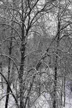 ������ ������� �������� ����������