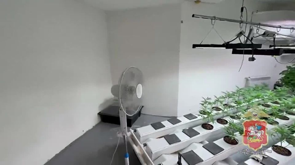 ������������, ����������� � ������� ���� ����� ��� ������ �������, �������� ��� ������ � �����������