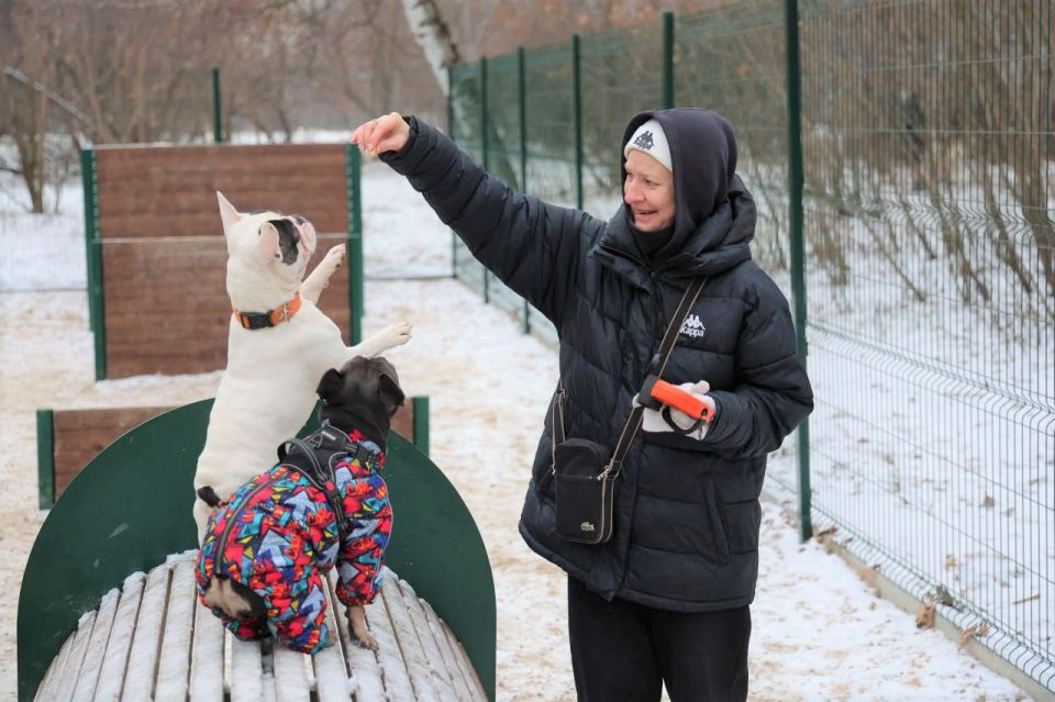 ����� 36 ���. �������� �������� ���������������� � ����������� �� ���