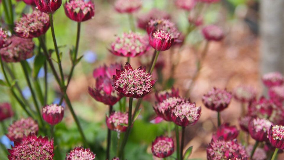 ���������: ������� ������� � ������� �������� � ����� ����