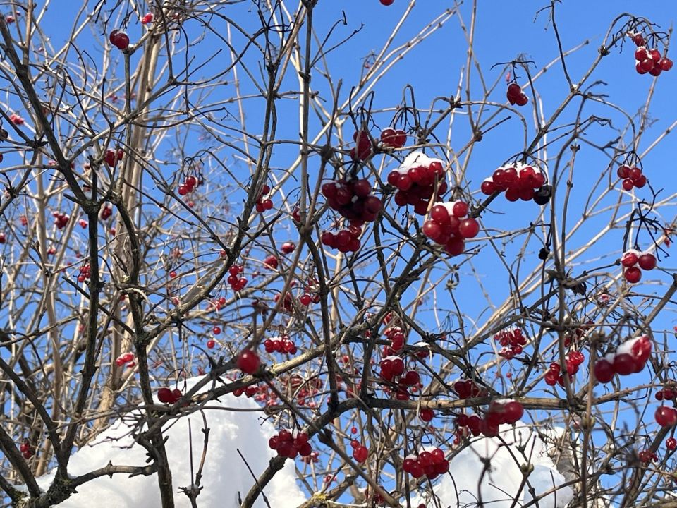 � ���� ������� ������. �� ��������� ����, �� ����� ����, �� ���� ��� ������� ���������� � ������ ���������� ��� �������