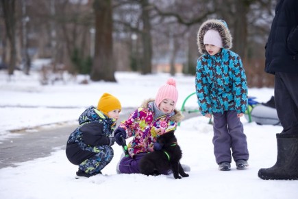 ������� � ������ ������. ������� (6 ����� )