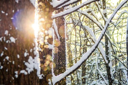 ������� ������: ����� ���� ��������� ���!. @vdv_volkov_chat �������������� �� ��� ����� � ���