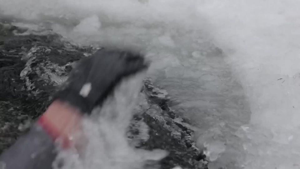 ������ �� � ���� �� ������� ���������� ��������� �������