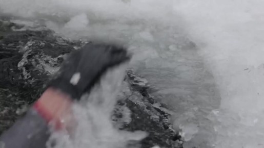 ������ �� � ���� �� ������� ���������� ��������� �������