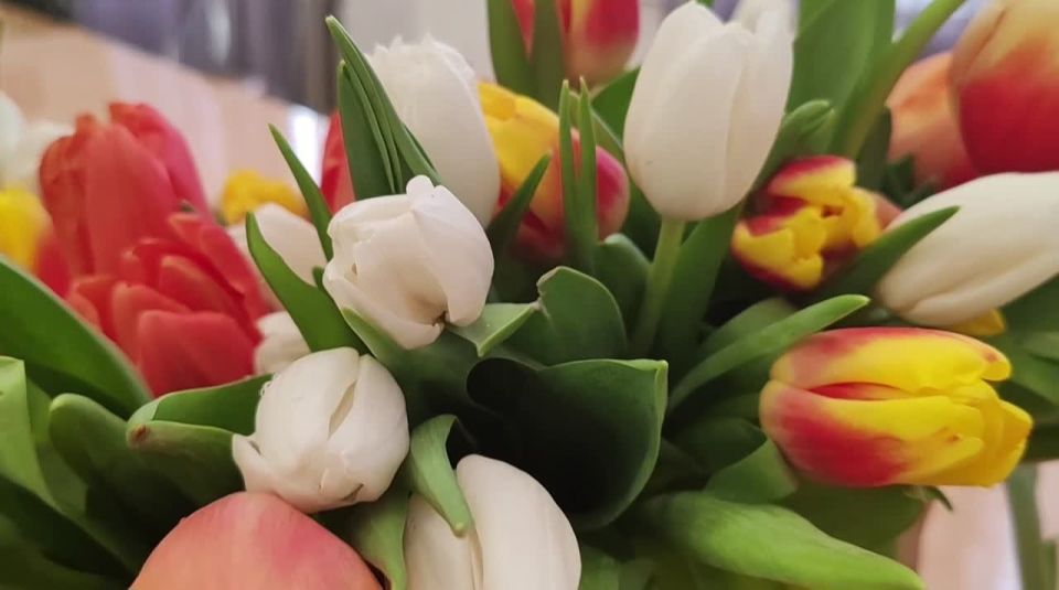 ������ ������ �������� �������� ���������� ����� ���������