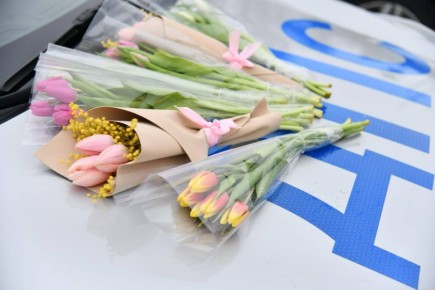 ������� ��������: �������� � ��� ��������!. ��������������� � ����� ������ ������� �������, ��������� � ���������� ������ ��������� �������������� ������ ����� � ��� ��������� ���, ���������� ������� ������������