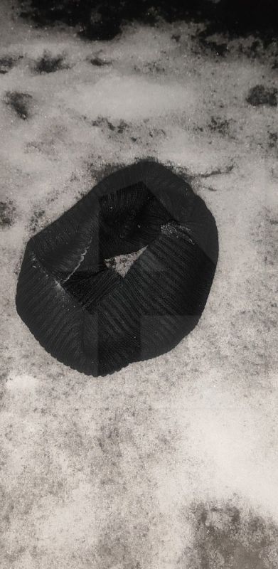 �� ����������� �������� ��������� ���� ����� ������������ ����� ����� � �����������