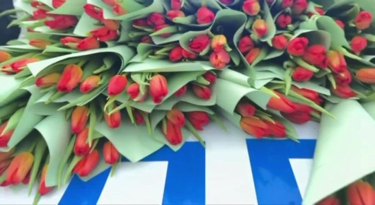 � ���������� �����, ����� ����!