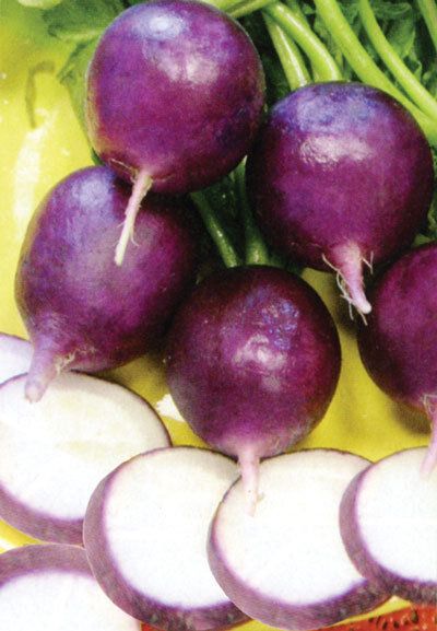 ��������� ����� ������� � ������, ������� ����� ����������� � ����� ����