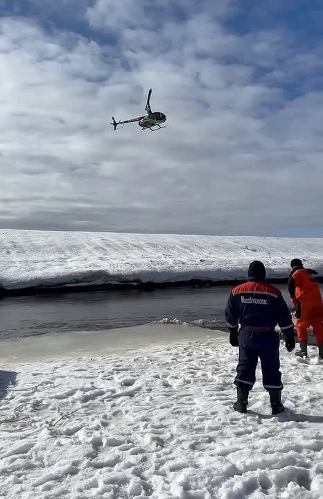 Около 300 волонтеров ищут детей в Подмосковье, не считая профессиональных спасателей, сообщили в "ЛизаАлерт"