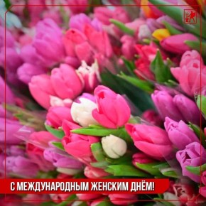 ���� �������: �����, ������� ���� �������!