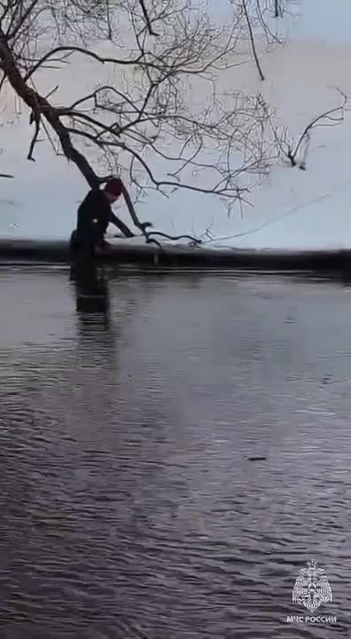 � ����������� ������� ���������� ������ ����� ����������