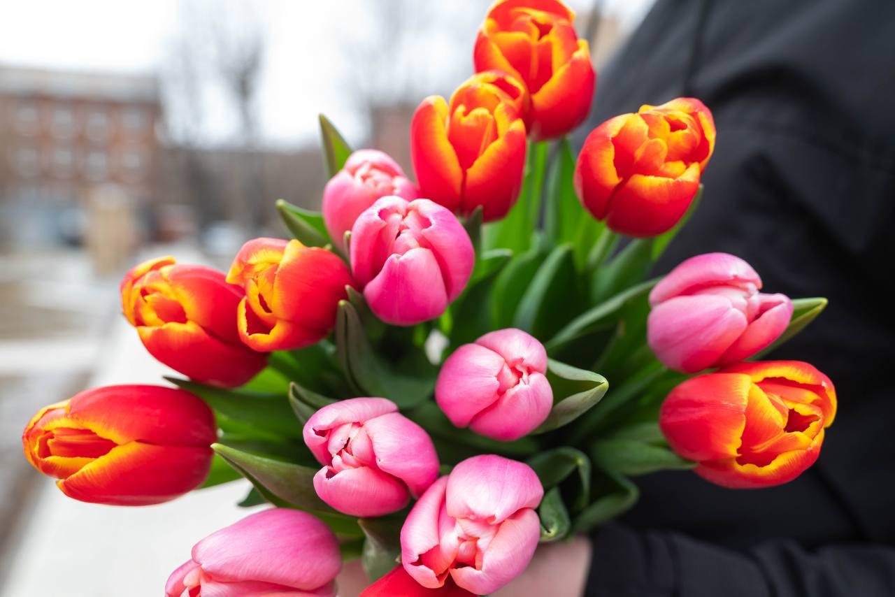 Дорогие наши женщины!. Поздравляю вас с Международным женским днём! Этот прекрасный весенний праздник – еще один повод выразить вам наше восхищение и благодарность Дорогие наши женщины!. Поздравляю вас с Международным женским днём! Этот прекрасный весенний праздник – еще один повод выразить вам наше восхищение и благодарность