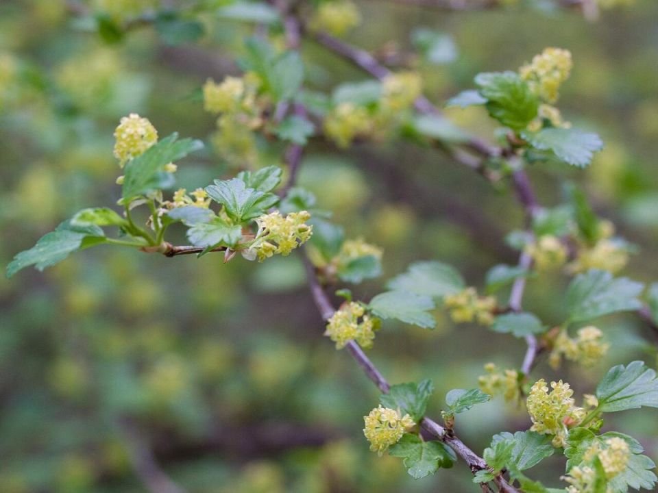 ������������ ���: ��������� ������� �������� � �������� ����������