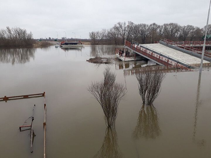 ��� ����� ����� ������� � ������ ���������