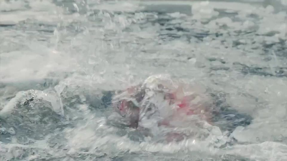 ������ �� � ���� �� ������� ���������� ��������� �������