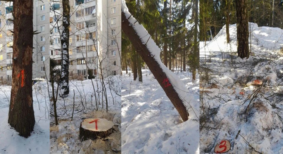 � ������� ������������� 27 ��������� �������� � ������������� �����������