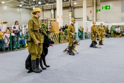 ������ ���������� ������ �� ������������� ������� ������������� ���������