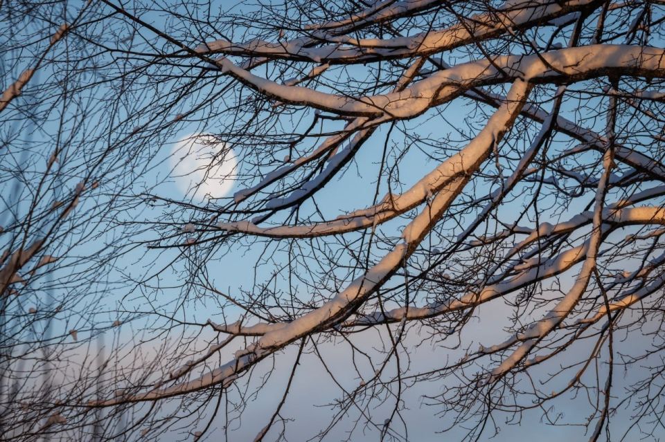 ������� �� ����, � ��� ����� �� ������, �� ��� ������� ����; �� ������ �������� � �������, � ����� ������ ��� �������� ���� �� ������ �� ������� ������. � ������� ���, �� ��� ������� �����, ���� ���������� �����, �������...