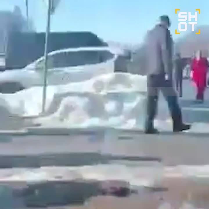 ����� ���������� � �����������