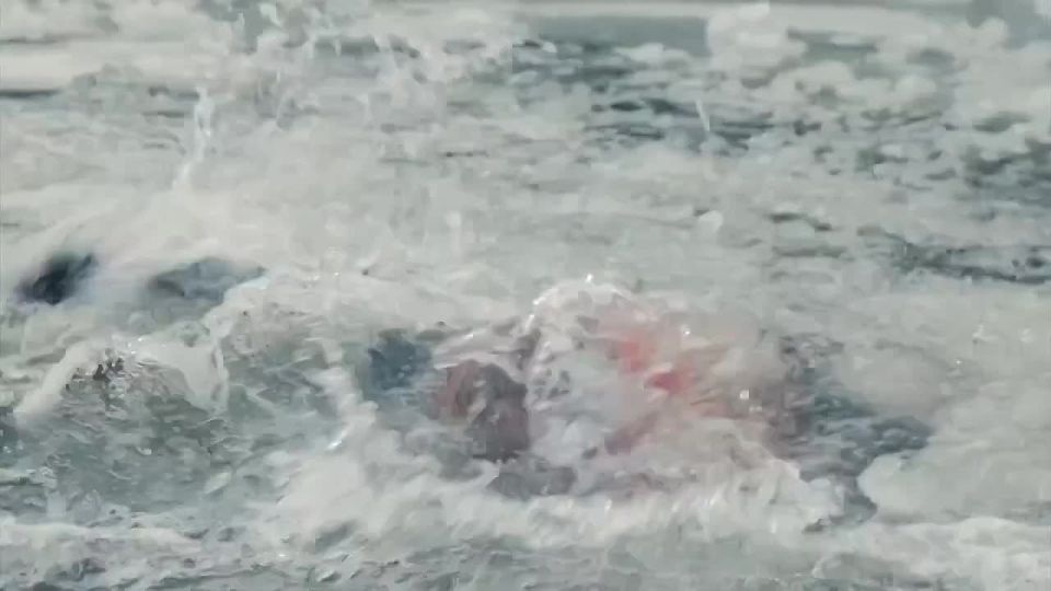 ��������� - ������ ���. � ������������ ������ ���������� ���������� ���� ������������ �������� �� ��������