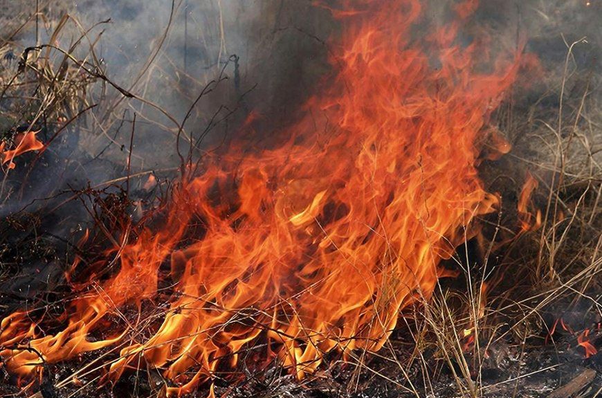 ����� ������, �� ����� �� �������!