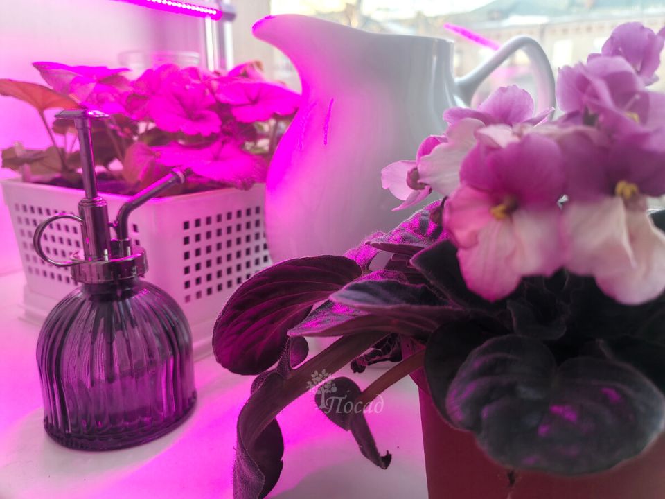 ��������� �������: ������� �������� ���������