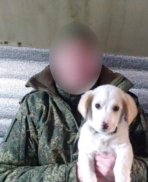 ����� ����� �����������, �������� ����������, ������ ������ ���� �������, ������� ��������� ����� � ������ ������� � �������, ������� ������� ������������ ����� � �����