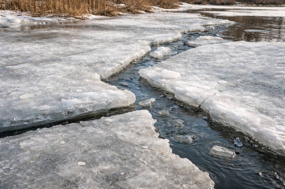 ���������: �������� ��!. � ������������ ����� �� �� ������� ���������� ������ � ���������