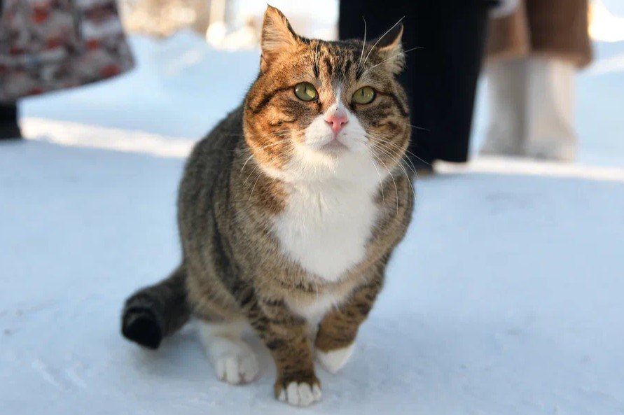 �� ���������� ������������ ������ ����������� ������ ��������� ������ ���������� ������ ���������