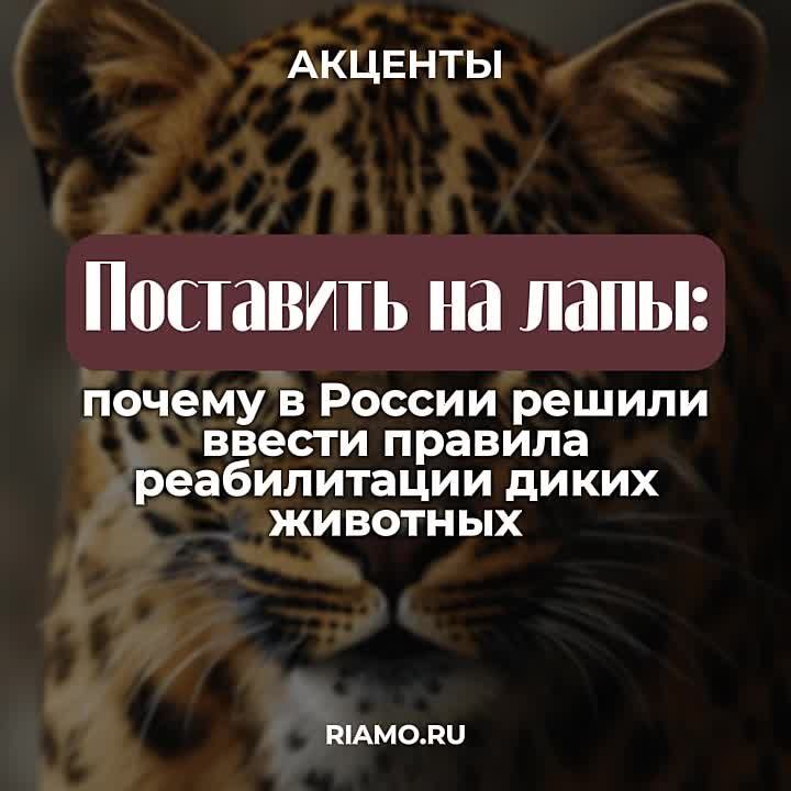 ������������ � ������������� ���������� ����� �������� � ������ ������� �� ������������ ������ � ������� � �� ���� �������� �����-������ ������������ �������� � ������������������ ���������� �������