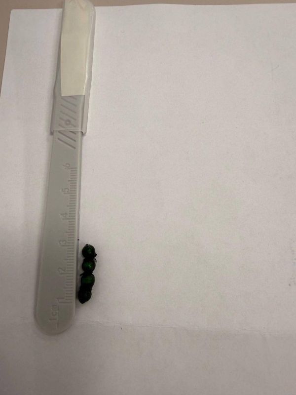 ����� ������ ������ ������� �� ������� �������� 11 ��������