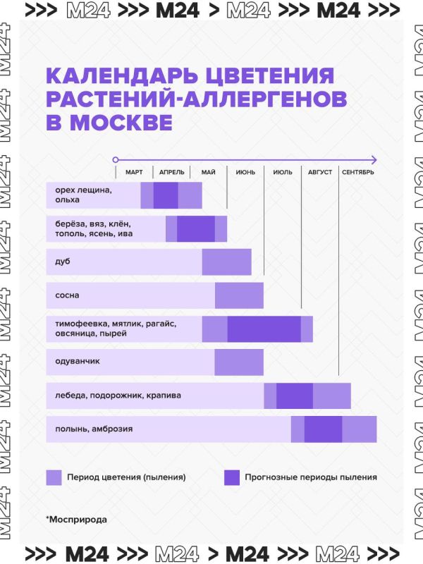 � ���������� � ����������� ��� �������� ������ ���������� �������, ������������� �����