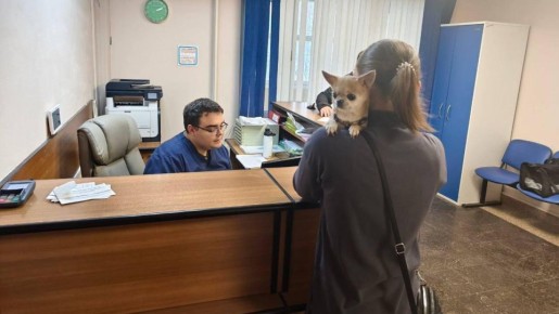 � ����������: ���������������� ������������ ��������� ��������� � ����� ���������