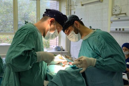 ����� ��� ���������: ������� ����������� ���������� ��������