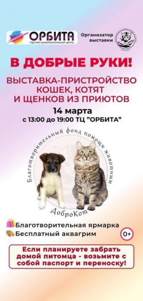 ����������������� ��������-������������ �����, ����� � ������ �� ������� ������� � �� ������� ������� � �������, 14 �����