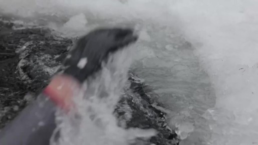 ���� � �����, ����� �� ��� ��� ������!