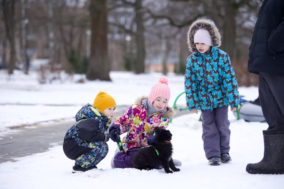 ������� � ������ ������. ������� (14 ����� )