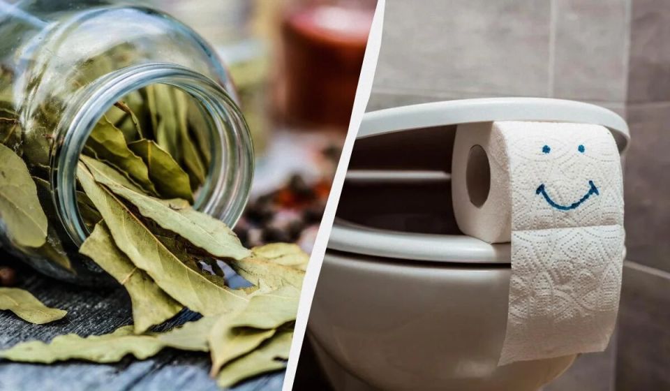 �������� ���� � �������: ������ ������� � ��������