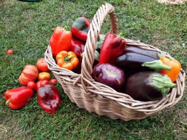 ������ ���������: ������� ��� ������ ���?