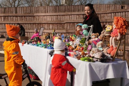 � ������� ������ ����������������� ����������� � ��������� ���������� ���