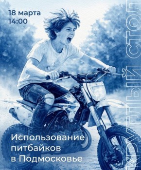 Питбайки в Подмосковье — тема, которая вызывает всё больше споров