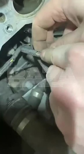 Жители московского ЖК страдают от полчища крыс — грызуны проникают в дома и автомобили, грызут проводку